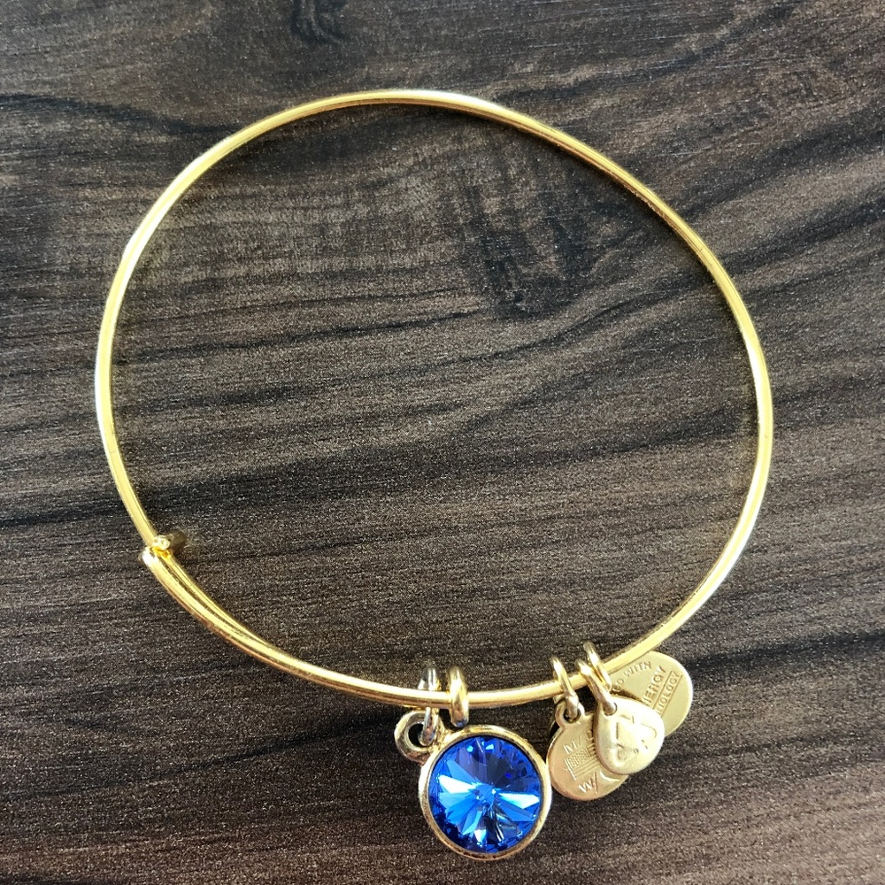 Alex & Ani Gold Shiny Bangle Bracelet Adjustable